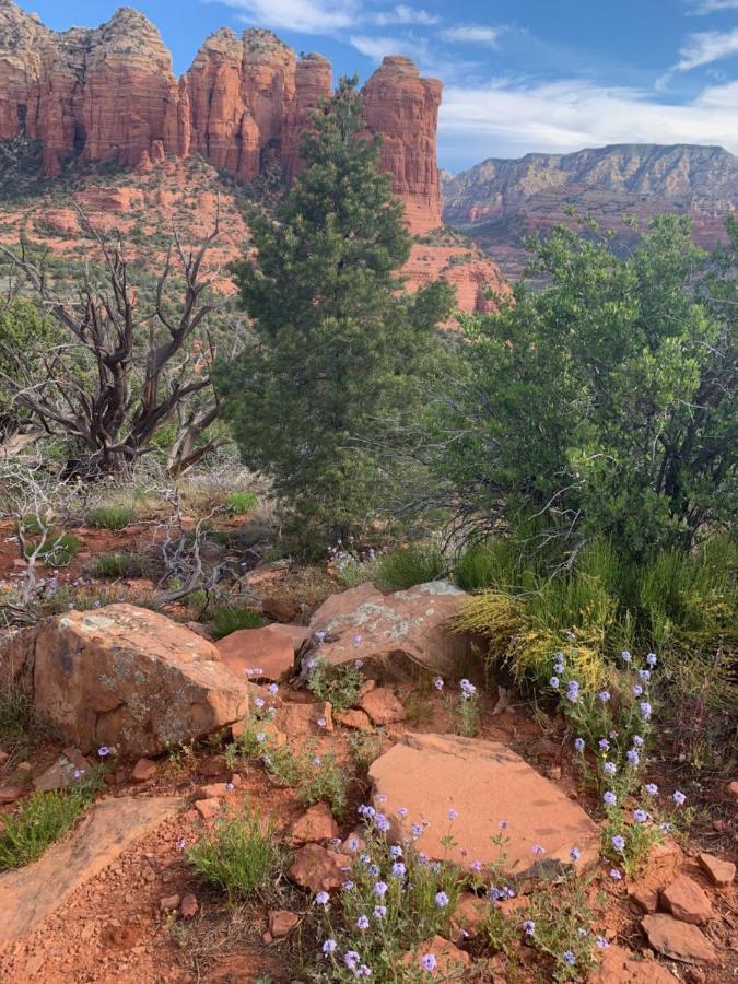 Sedona Room Homestay - Thunder Mountain Extérieur photo